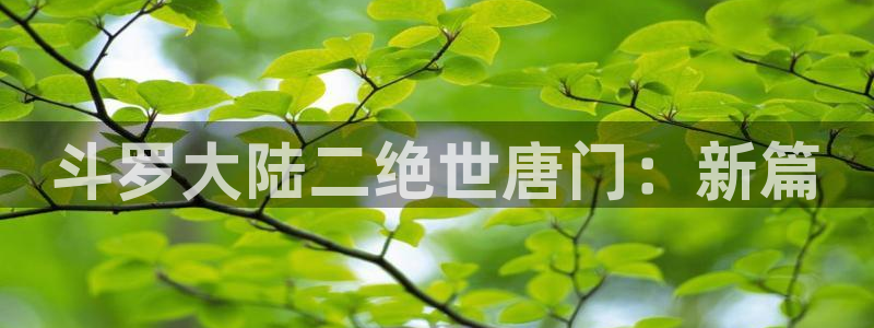 漫蛙3d