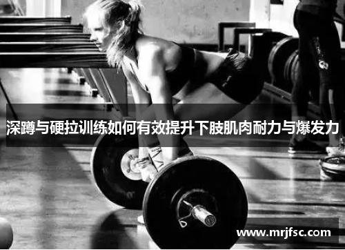 深蹲与硬拉训练如何有效提升下肢肌肉耐力与爆发力