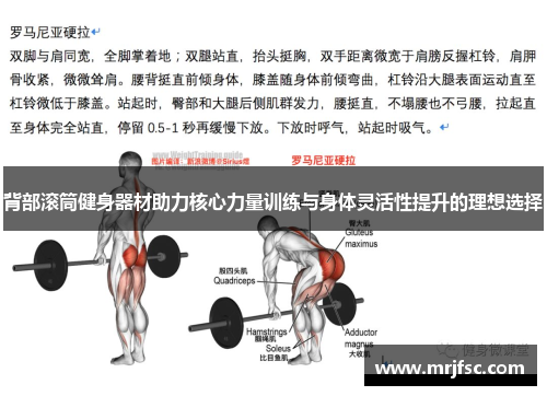 背部滚筒健身器材助力核心力量训练与身体灵活性提升的理想选择