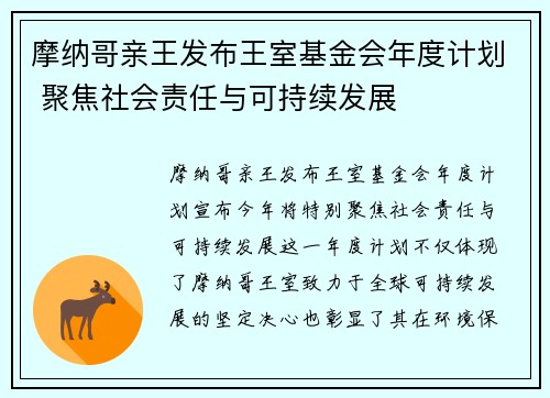 摩纳哥亲王发布王室基金会年度计划 聚焦社会责任与可持续发展