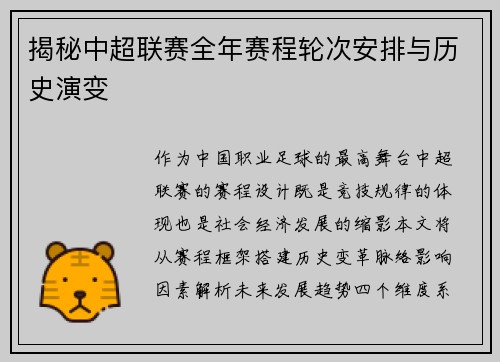 揭秘中超联赛全年赛程轮次安排与历史演变