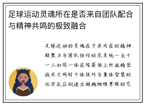 足球运动灵魂所在是否来自团队配合与精神共鸣的极致融合