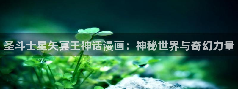 漫蛙免费下载安装