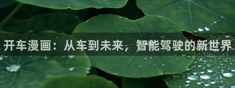 漫蛙官网登录入口